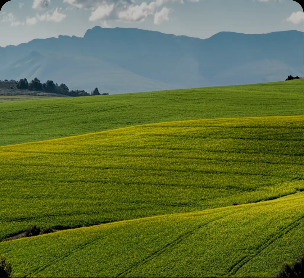 Rolling green fields under a mountain range